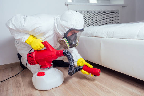 Best Flea Control Services  in Uniontown, OH