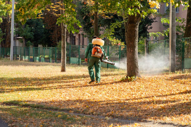 Best Pest Control for Restaurants  in Uniontown, OH