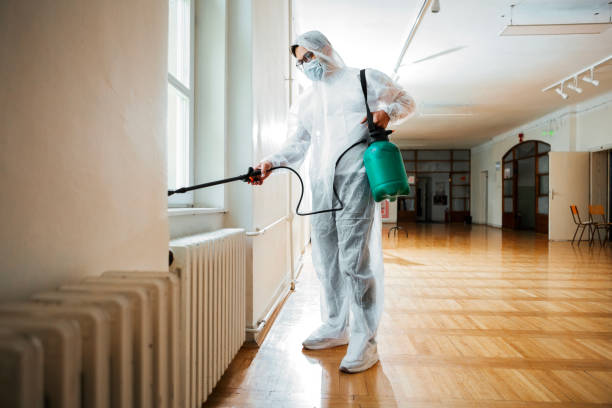 Reliable Uniontown, OH Pest Control Solutions