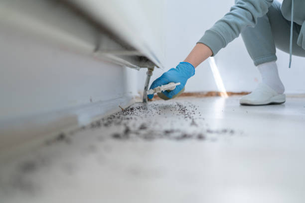 Pest Control for Restaurants in Uniontown, OH