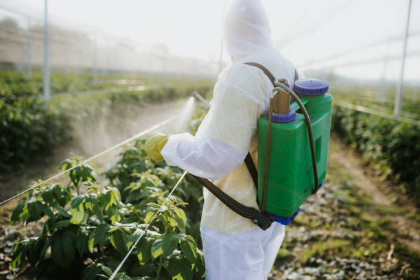 Best Local Pest Control Services  in Uniontown, OH